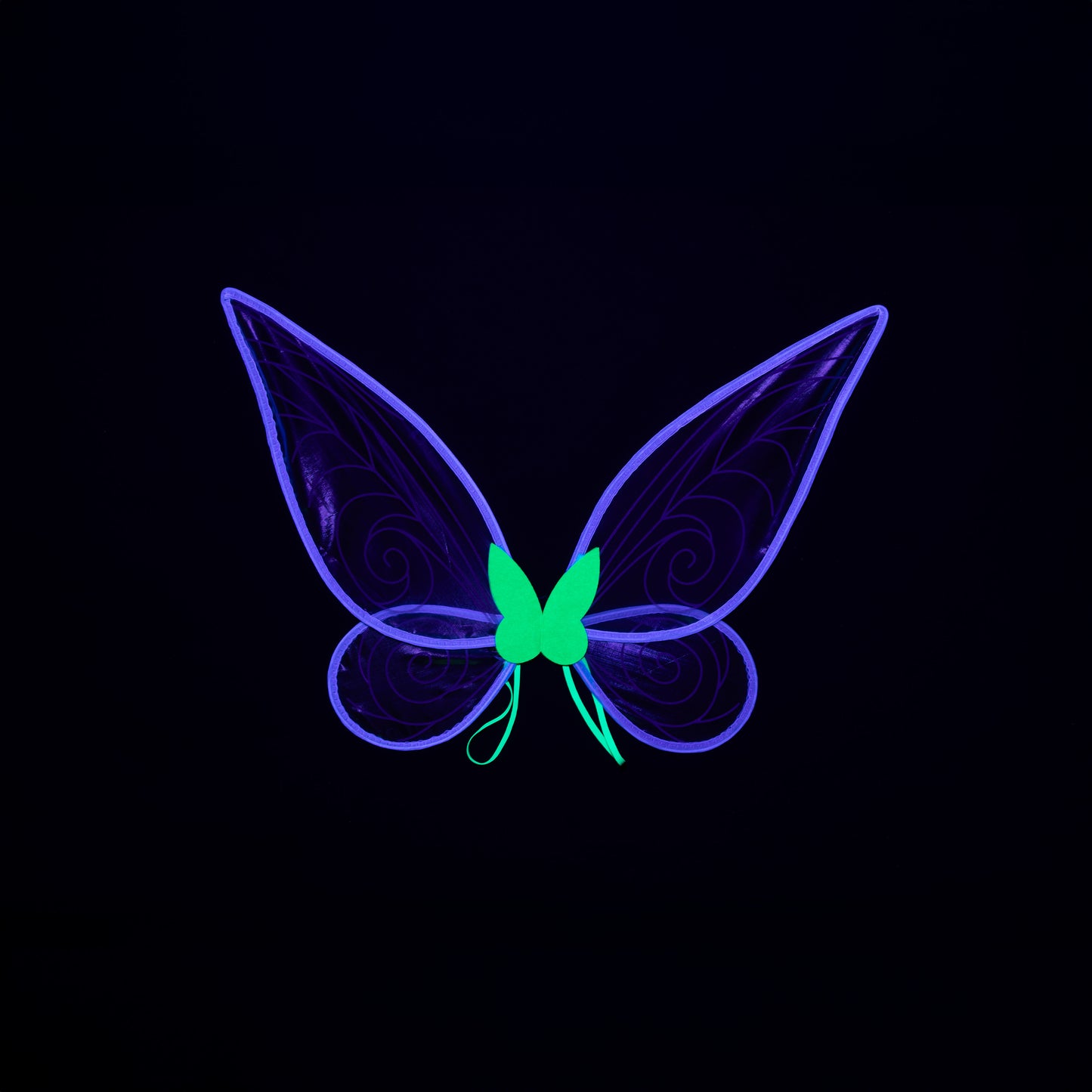 A Leading Role Child Fairy Wings