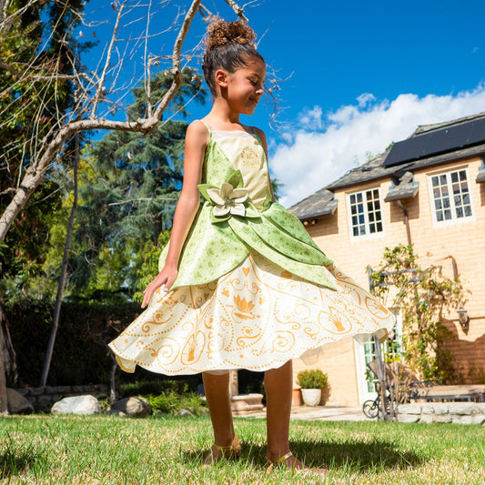 Disney Princess Tiana Washable Dress Up