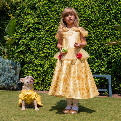 Disney Princess Belle Washable Dress Up