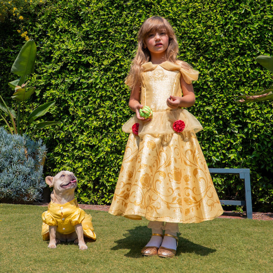 Disney Princess Belle Washable Dress Up