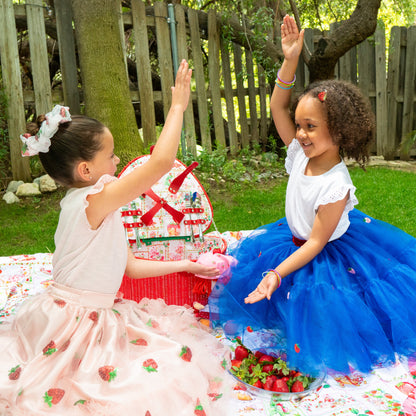 Strawberry Shortcake Berry Blue Child Tulle Skirt